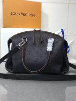 Bolsa LV Asteria